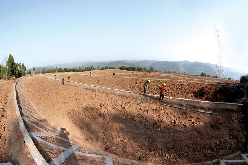 1489391279251521.jpg 6.jpg